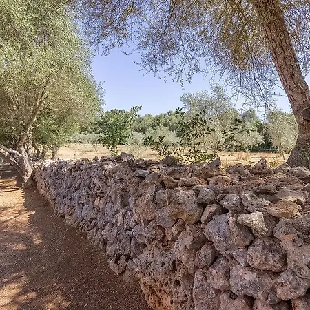 Casa Pina *